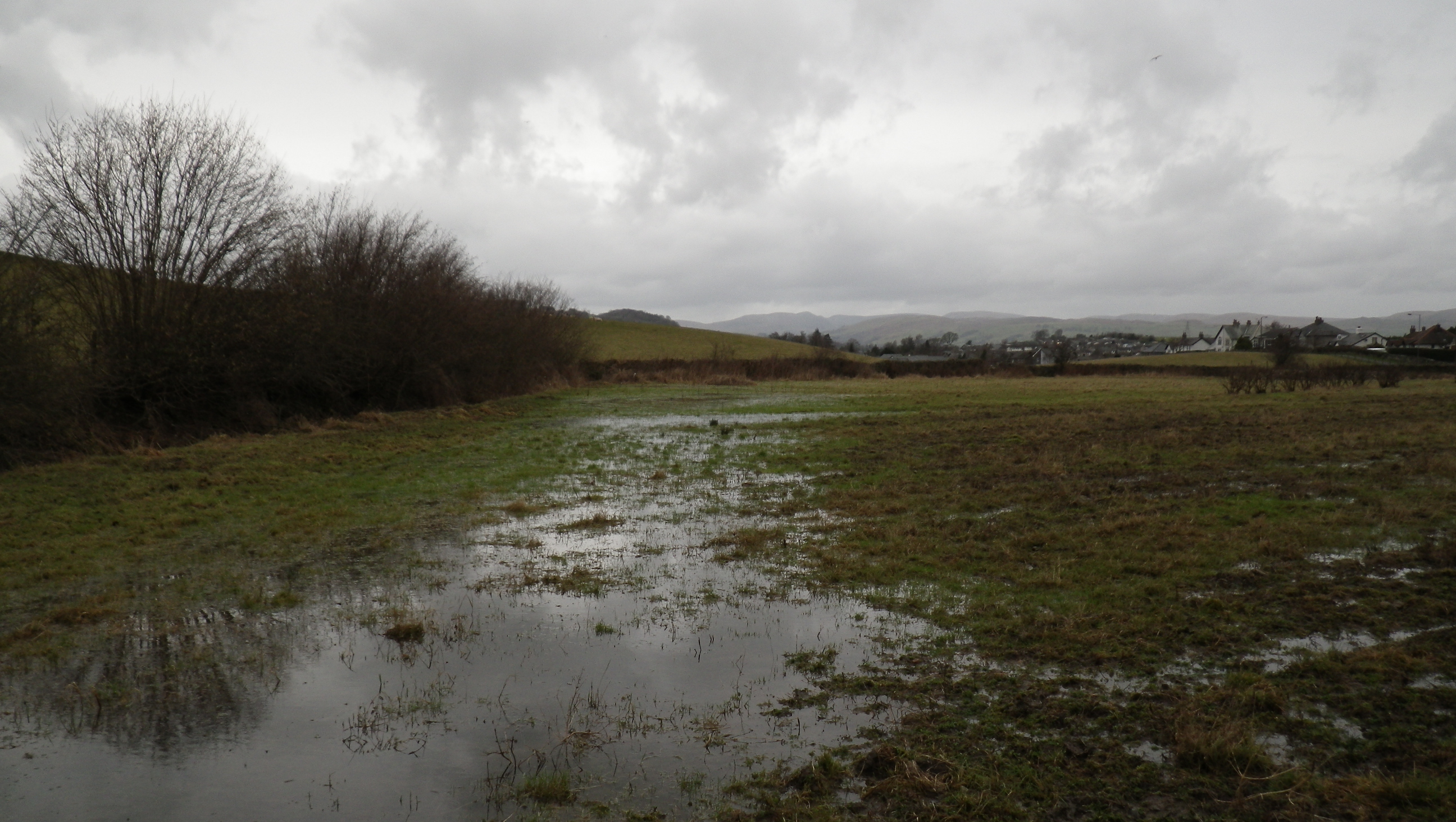 flooding